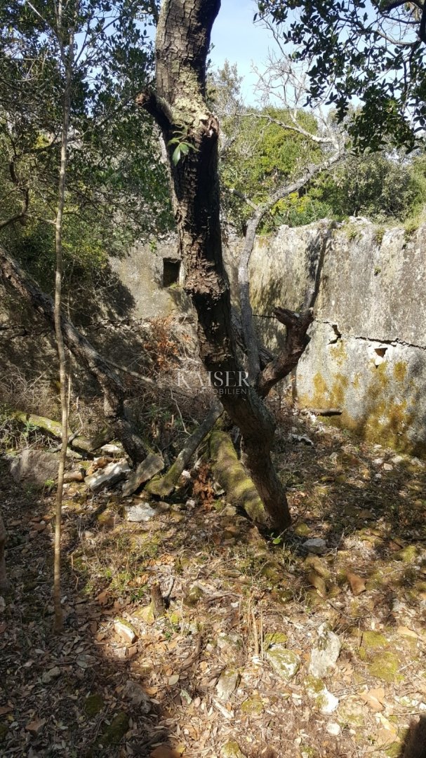Land For sale - Primorsko-goranska Mali Lošinj