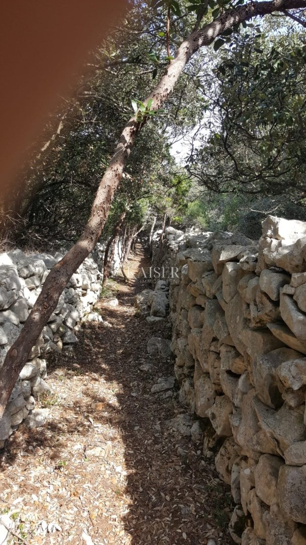 Land For sale - Primorsko-goranska Mali Lošinj