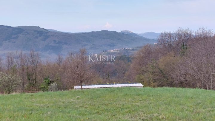 Grundstück Zu verkaufen - Istarska Motovun - foto 3/6