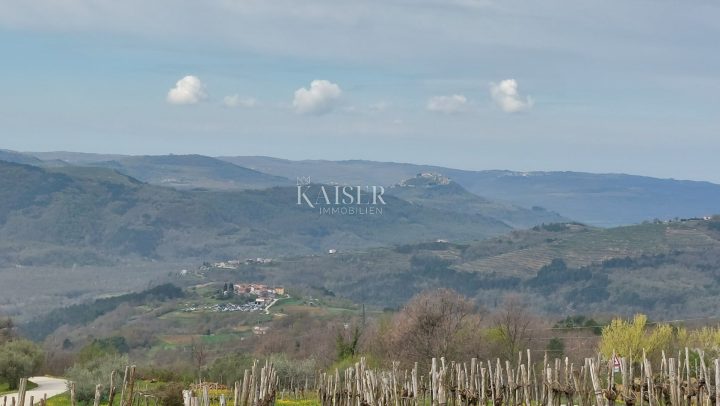 Grundstück Zu verkaufen - Istarska Motovun - foto 3/21