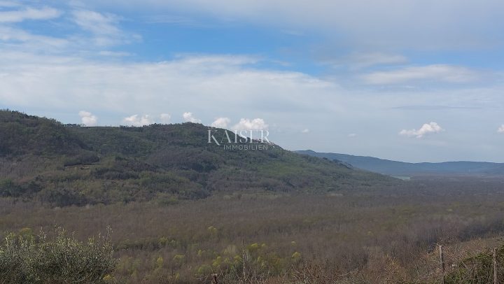 Grundstück Zu verkaufen - Istarska Motovun - foto 5/21