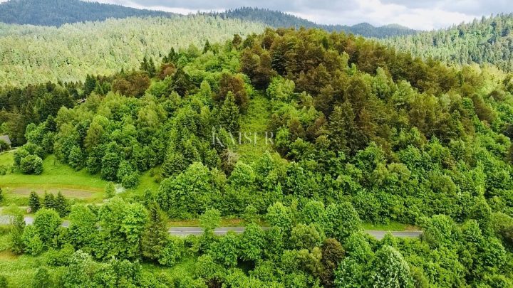 Zemljište na prodaju 1324 m² – Crni Lug