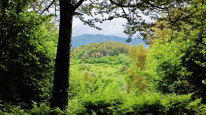 Zemljište Na prodaju - Primorsko-goranska Delnice - foto 3/7