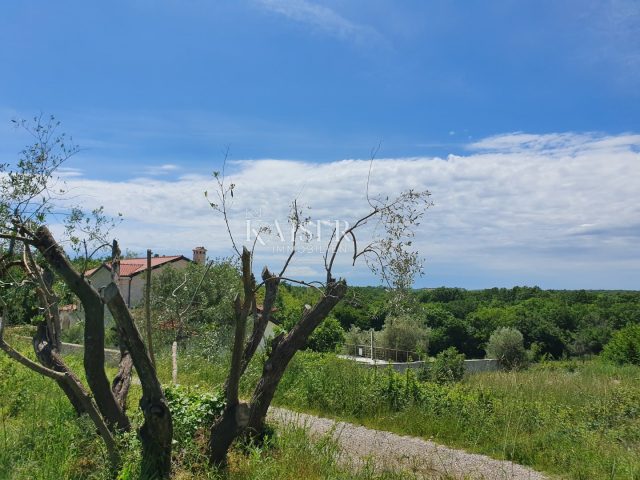 Grundstück Zu verkaufen - Istarska Sveti Lovreč - foto 2/5
