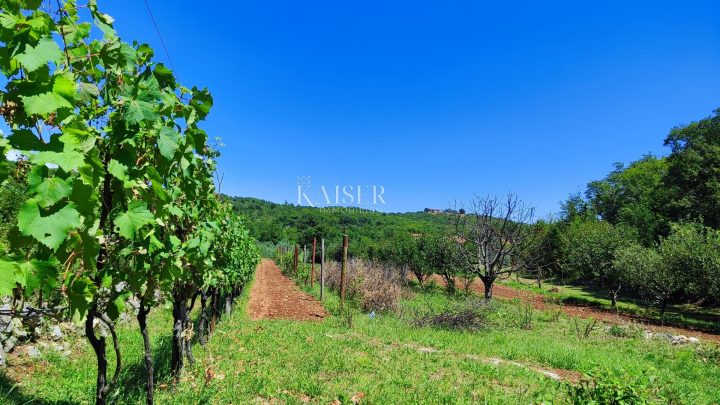 Grundstück Zu verkaufen - Istarska Labin - foto 2/9