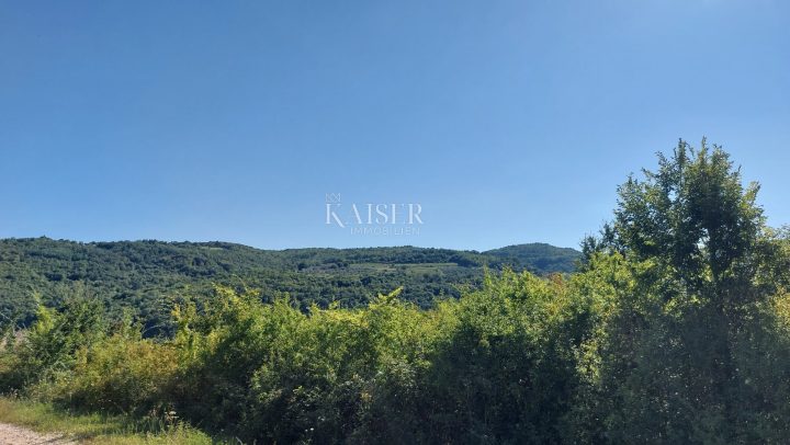 Grundstück Zu verkaufen - Istarska Motovun - foto 4/6