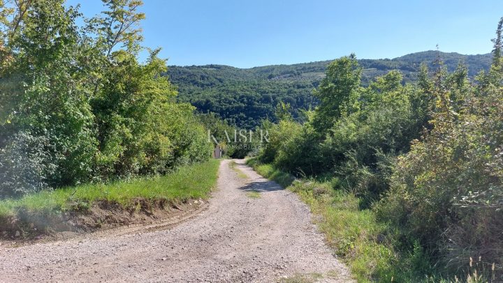Grundstück Zu verkaufen - Istarska Motovun - foto 5/6
