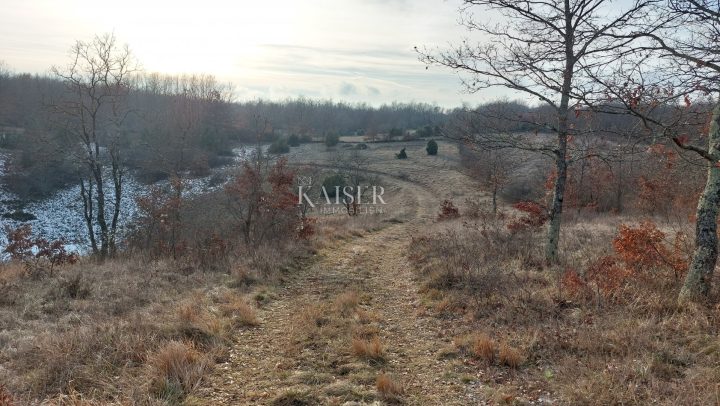 Grundstück zu verkaufen 53500 m² – Stari Pazin