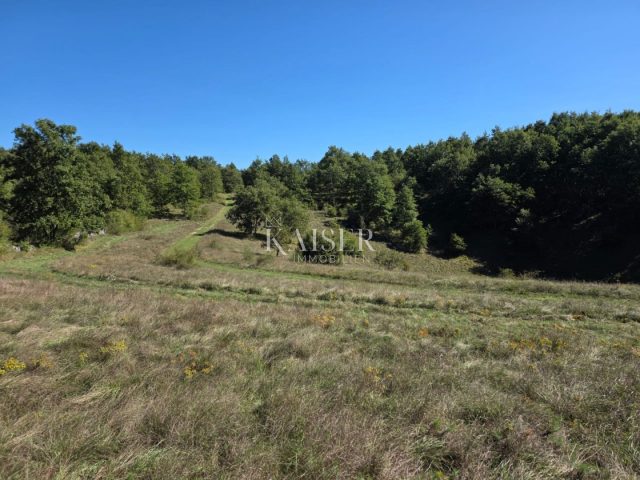 Land for sale 53500 m² – Stari Pazin