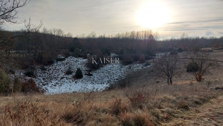 Grundstück Zu verkaufen - Istarska Pazin - foto 3/3