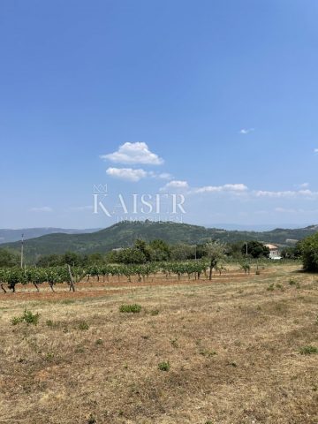 Zemljište Na prodaju - Istarska Motovun - foto 5/18