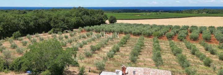 Haus zu verkaufen 190 m² – Novigrad