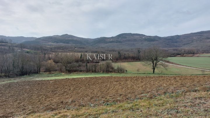 Land For sale - Istarska Motovun - foto 3/3