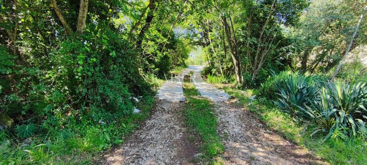 Grundstück zu verkaufen 900 m² – Drenje