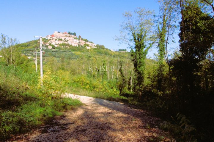 Grundstück Zu verkaufen - Istarska Motovun - foto 2/4