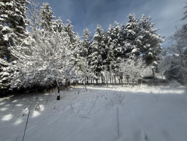 Land For sale — Mrkopalj
