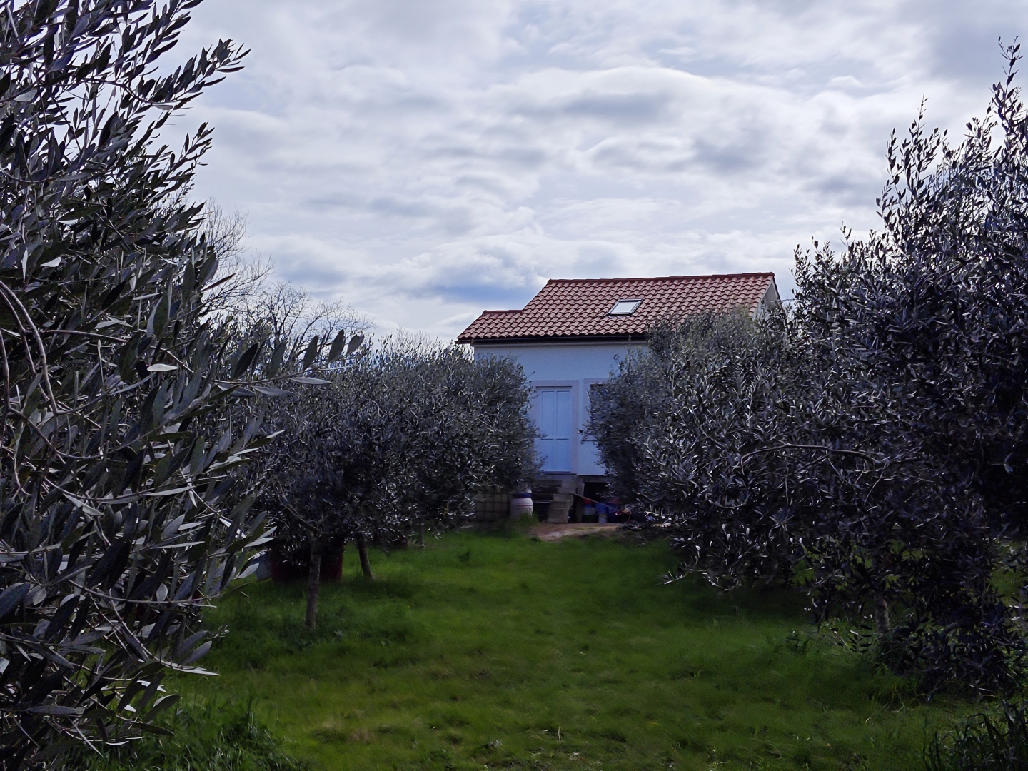 Casa In vendita -  Porat