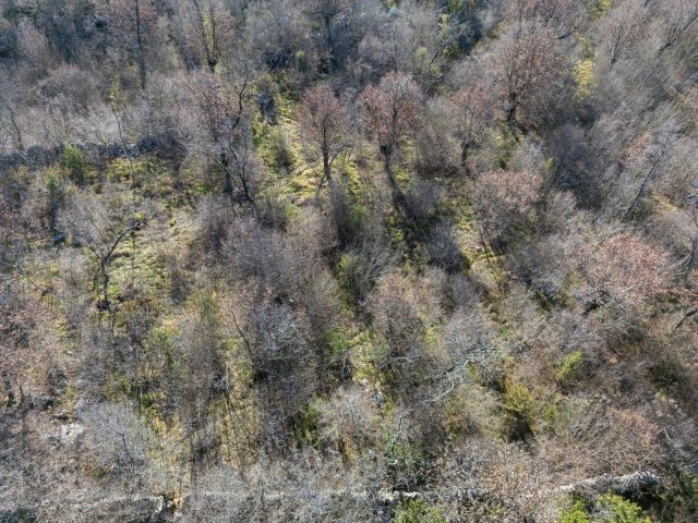 Terrain À vendre - Primorsko-goranska Vrh - foto 2/8