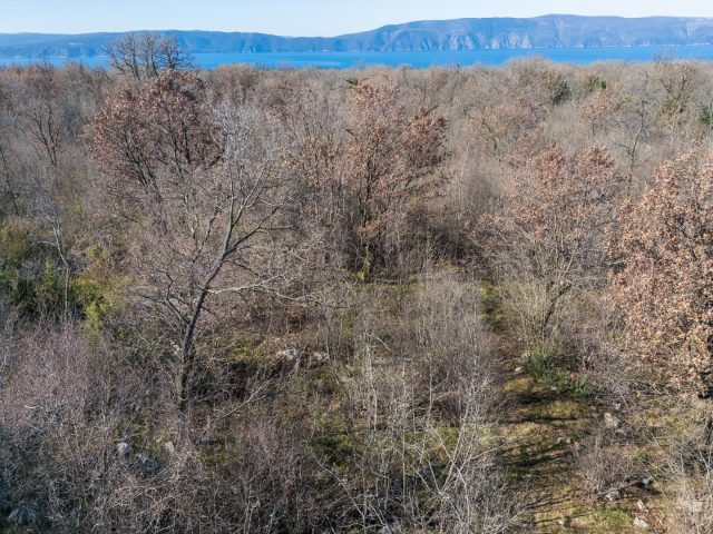 Terrain À vendre - Primorsko-goranska Vrh - foto 4/8