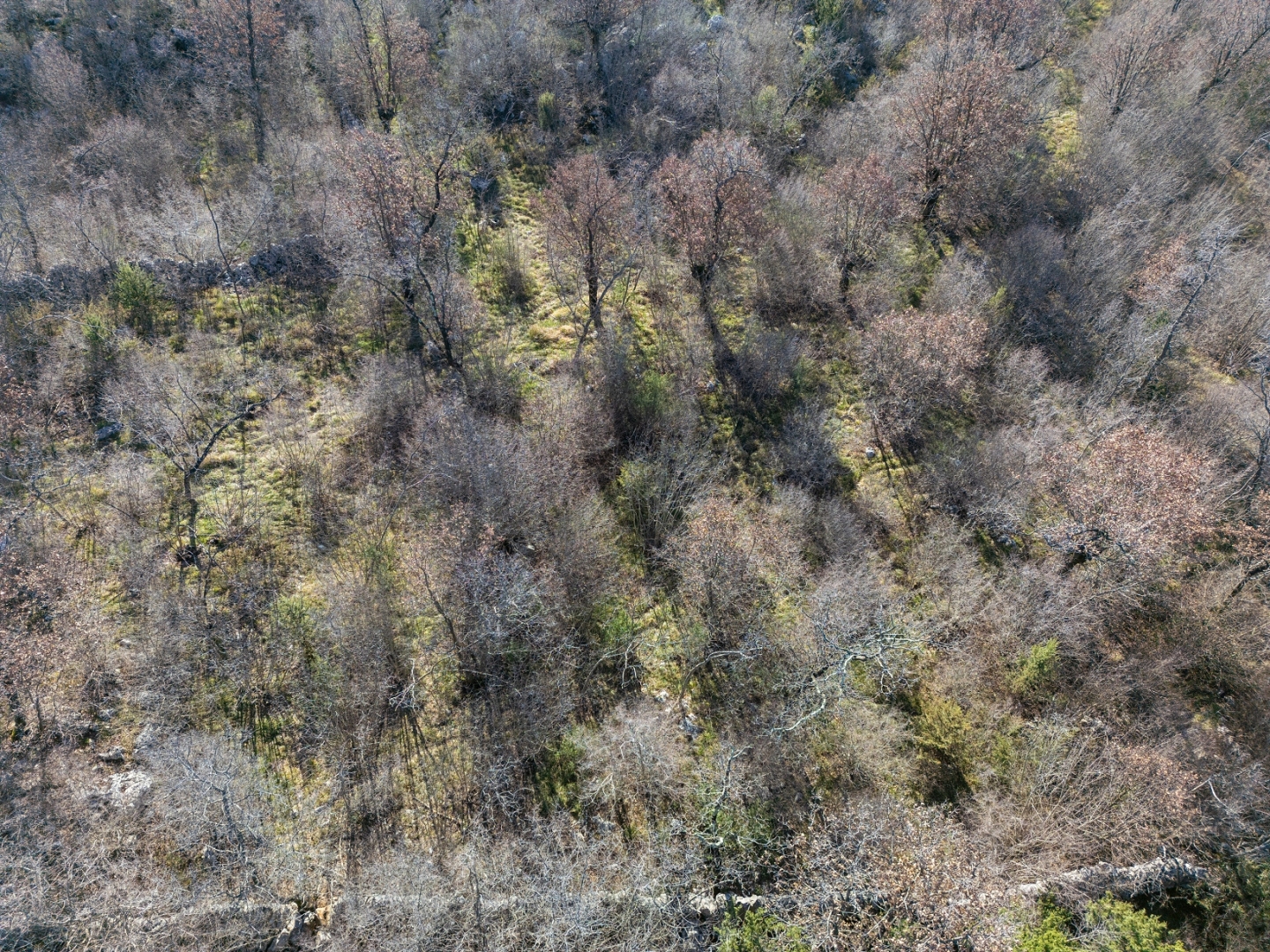 Terreno In vendita -  Vrh