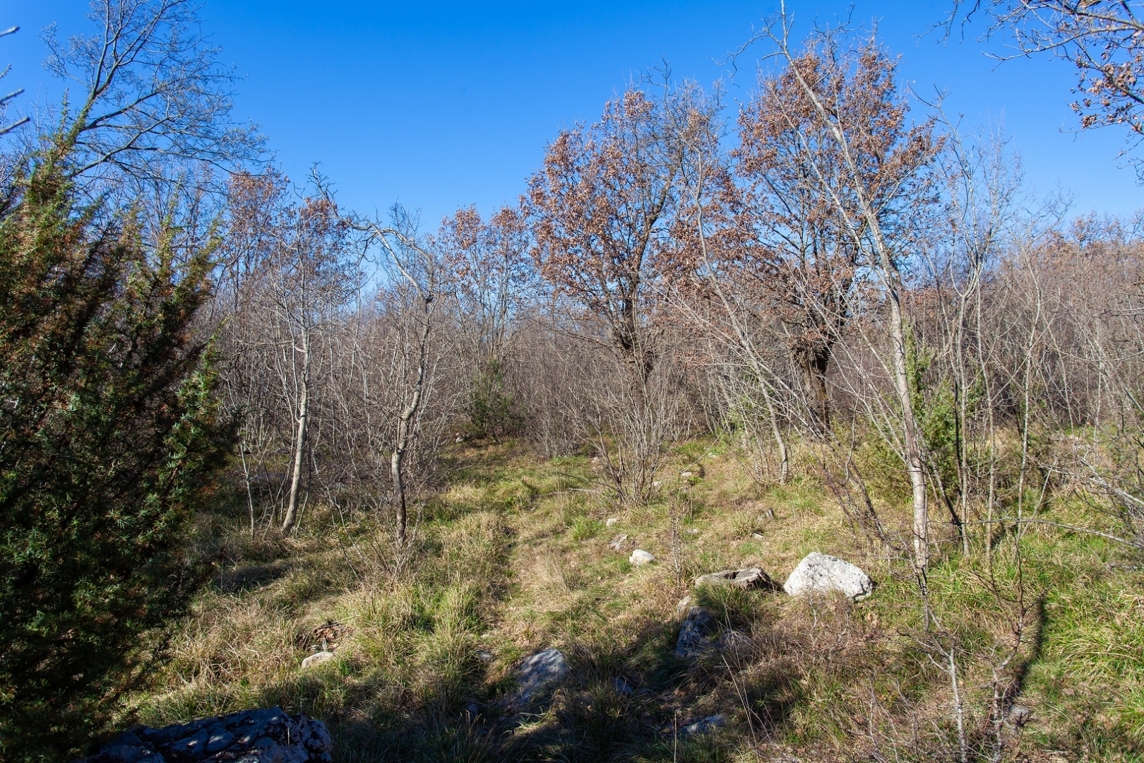 Terreno In vendita -  Vrh