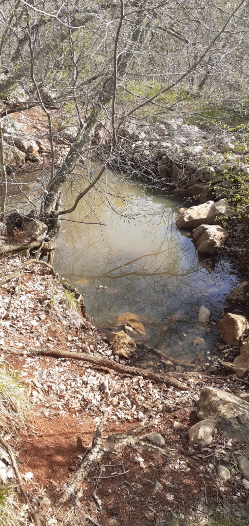 Terreno In vendita -  Vrh