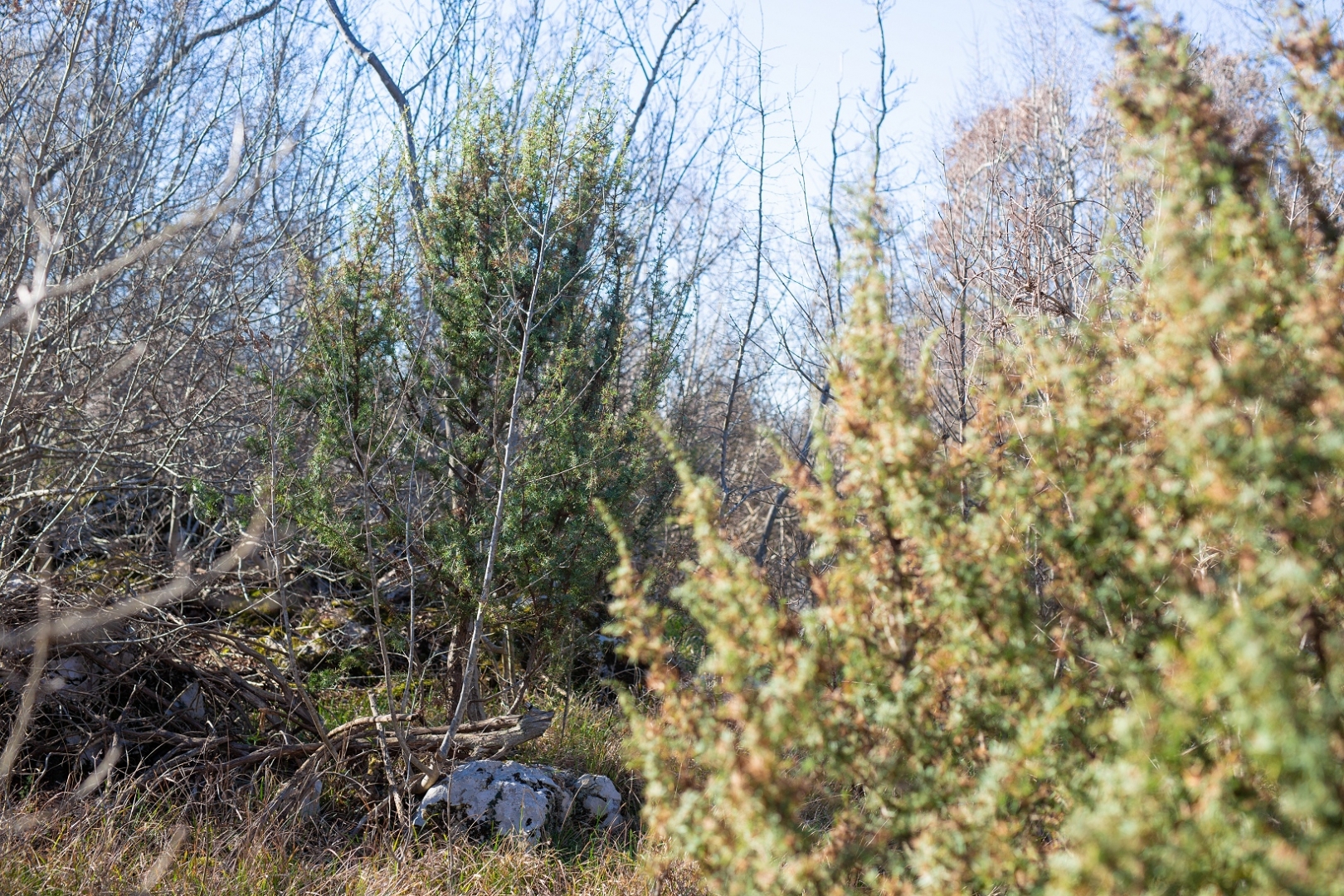Terrain À vendre - Primorsko-goranska Vrh