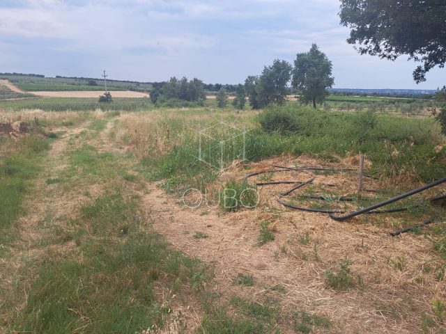 Land for sale 927 m² – Tar-Vabriga