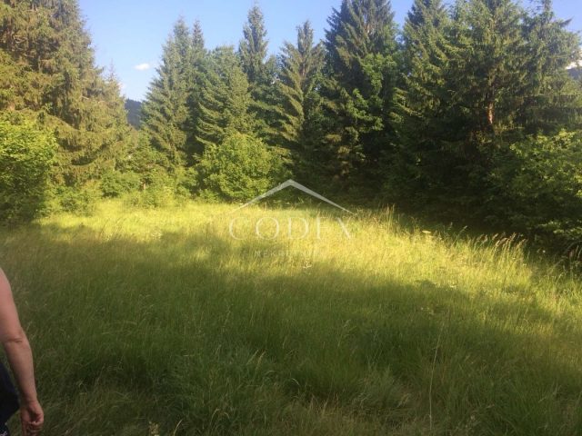 Land For sale Delnice