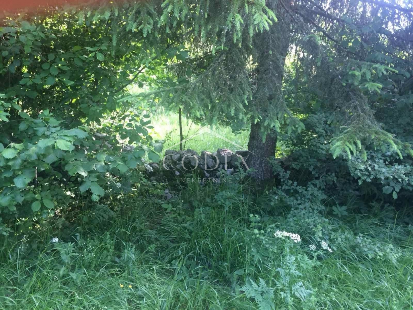 Land For sale - Lučice - foto 3/8