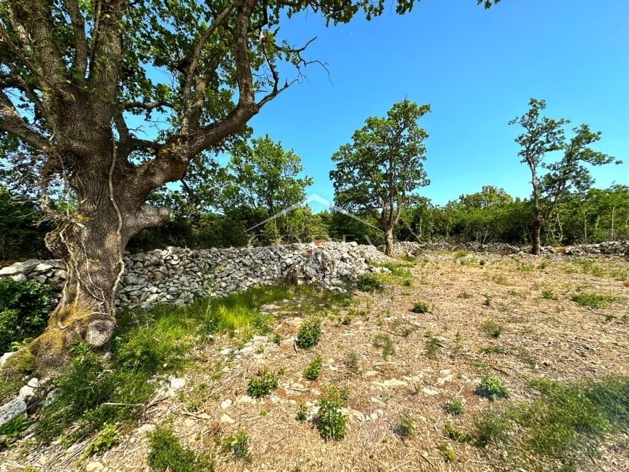 Parcela Na predaj -  Salakovci