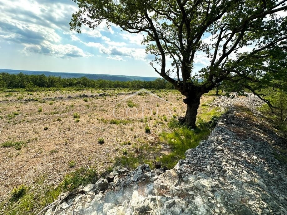 Parcela Na predaj -  Salakovci