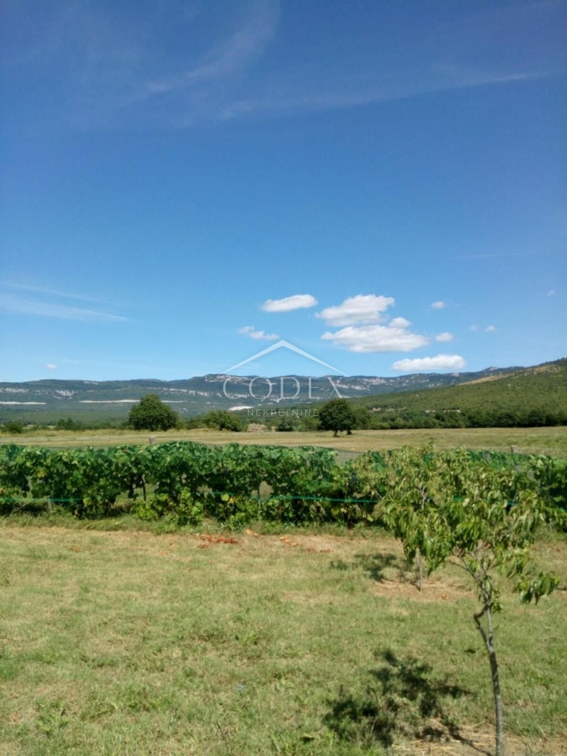 Maison À vendre -  Boljunsko Polje