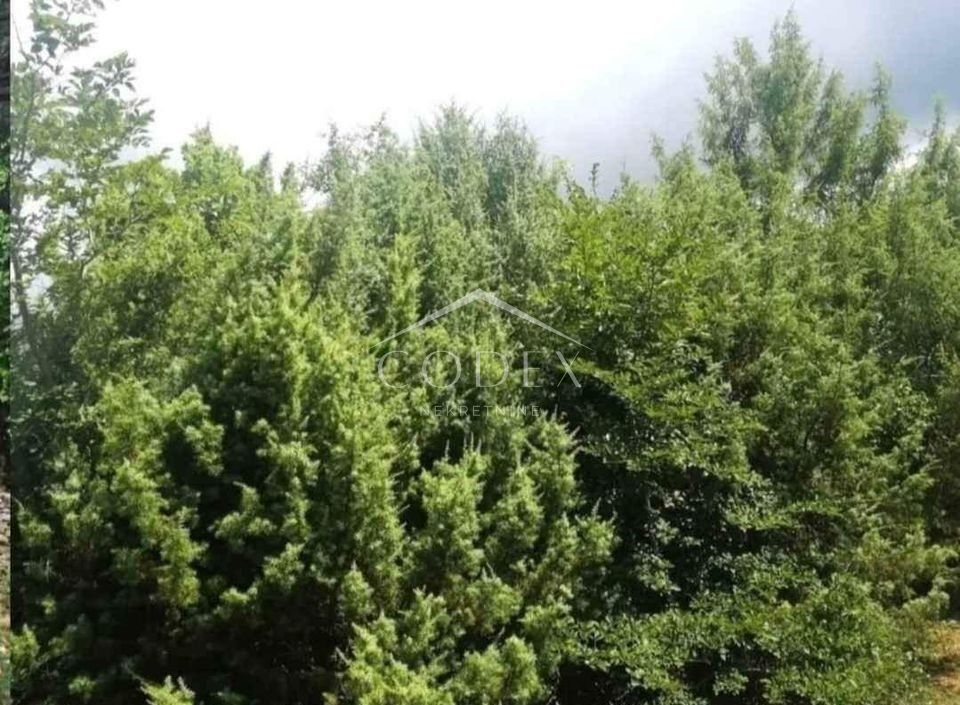 Zemljište Na prodaju -  Vodnjan