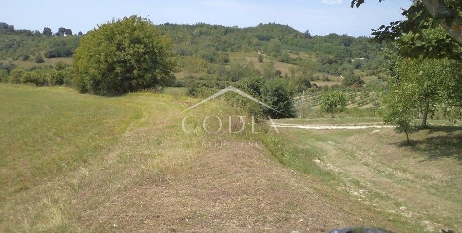 Terrain À vendre -  Novaki Motovunski
