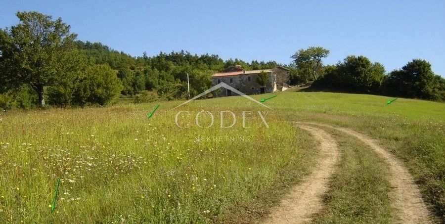 Terrain À vendre -  Novaki Motovunski