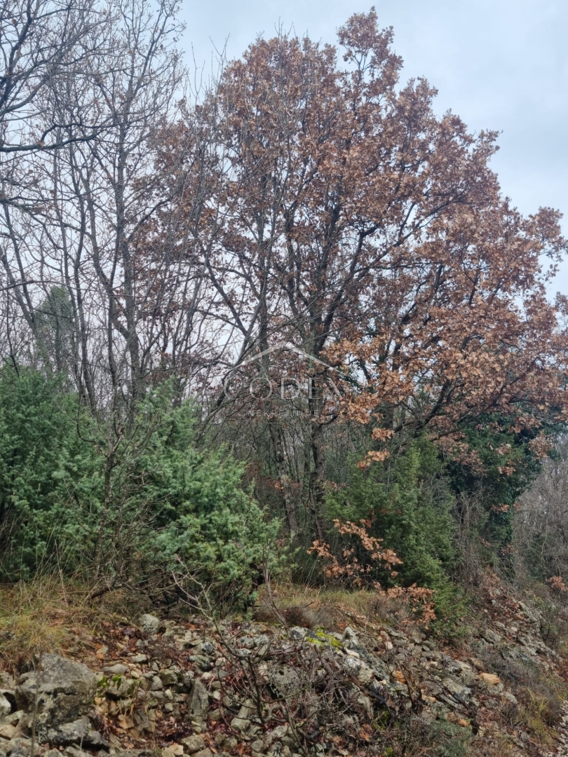 Parcela Naprodaj - Istarska Bartići