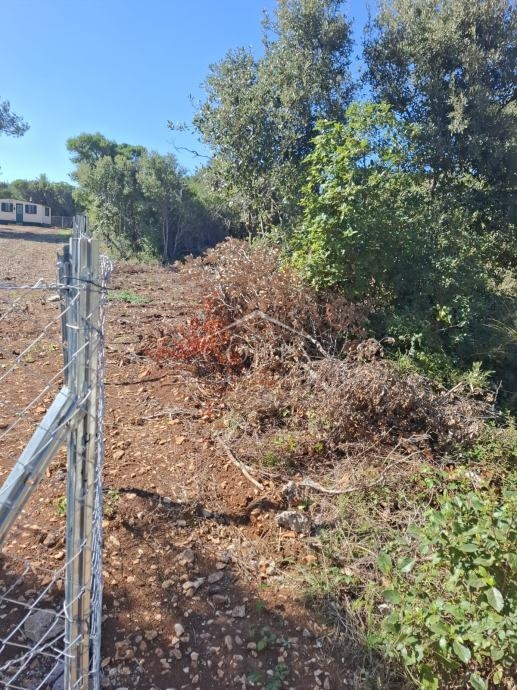 Terreno In vendita -  Ćunski