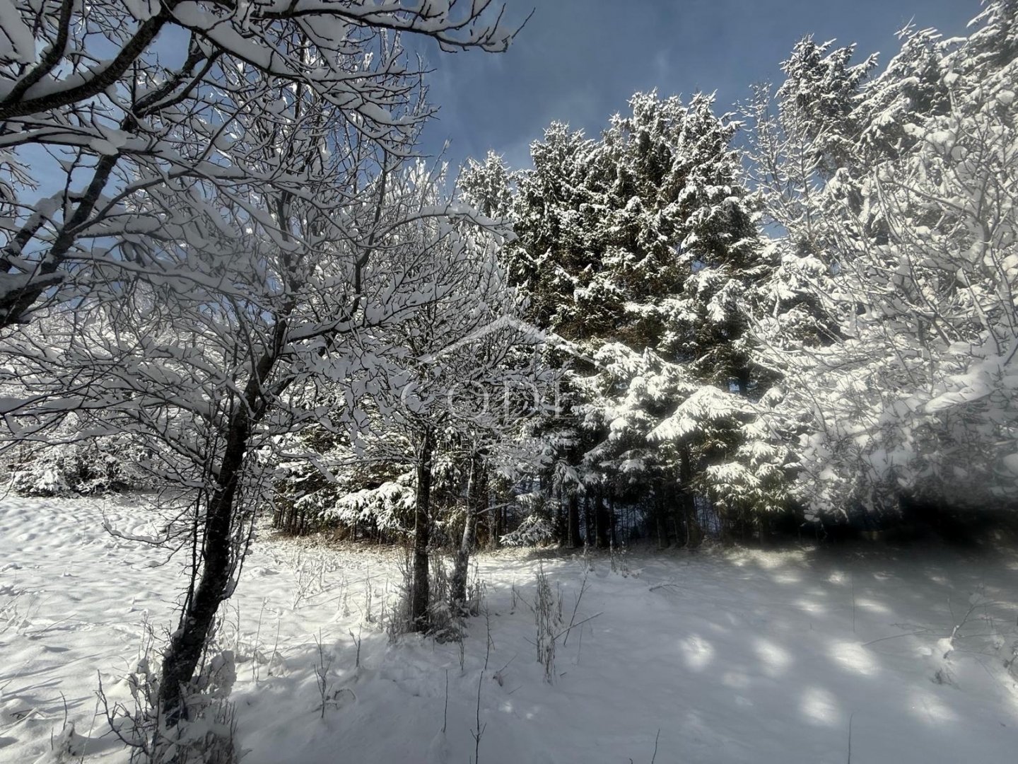 Land For sale - Primorsko-goranska Mrkopalj - foto 2/5
