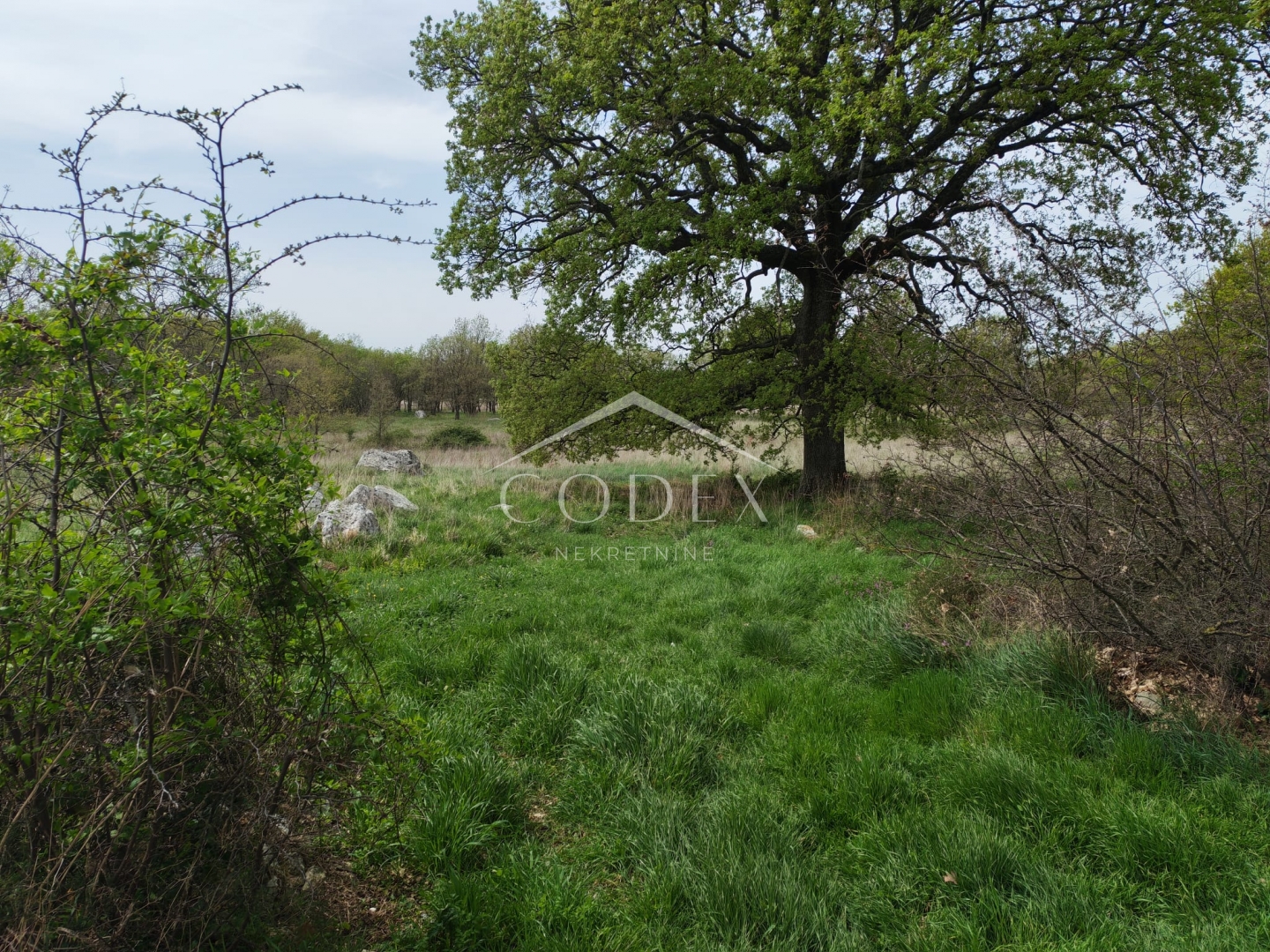 Dům Na prodej -  Labin