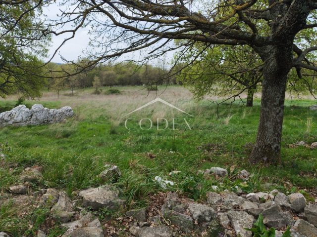 Land for sale 11279 m² – Labin