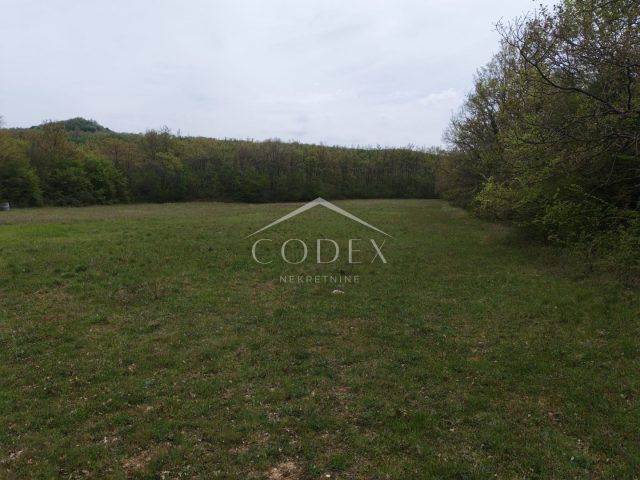 Land for sale 13720 m² – Labin