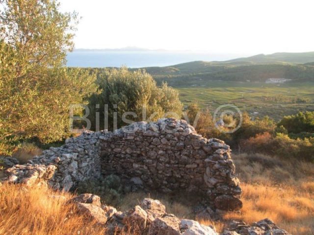 Pozemek na prodej 9700 m² – Čara