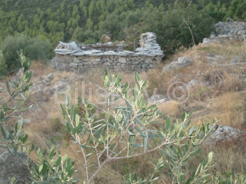 Terreno In vendita - DUBROVAČKO-NERETVANSKA  KORČULA 