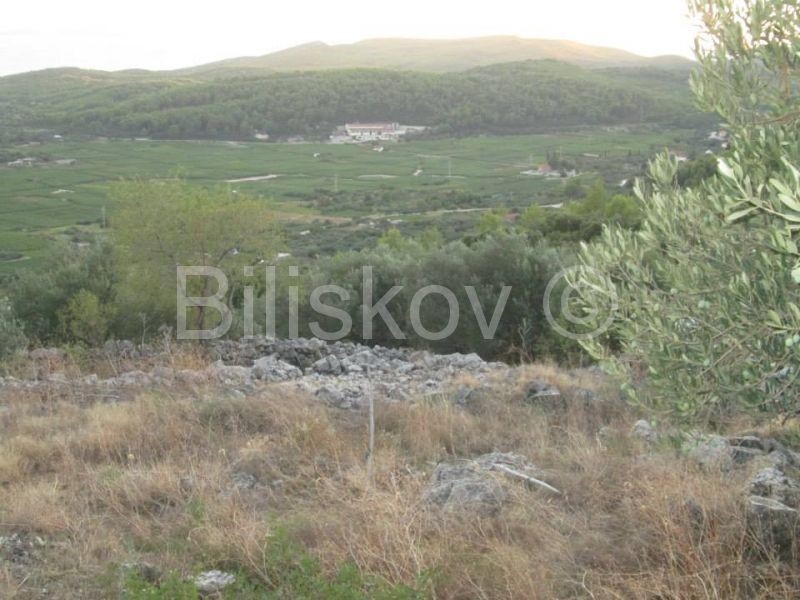 Terreno In vendita - DUBROVAČKO-NERETVANSKA  KORČULA 