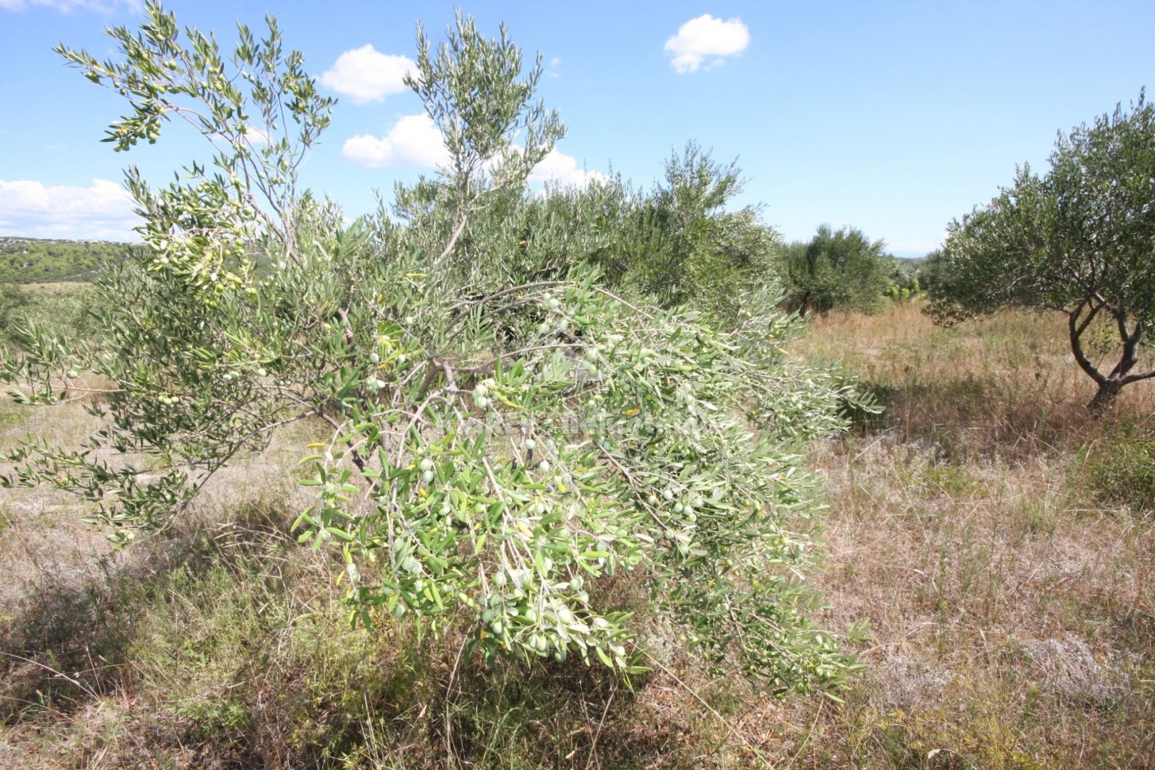 Land For sale - Vodice - foto 5/8