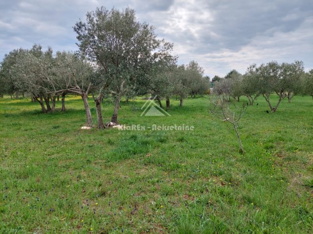 Land For sale Vodice