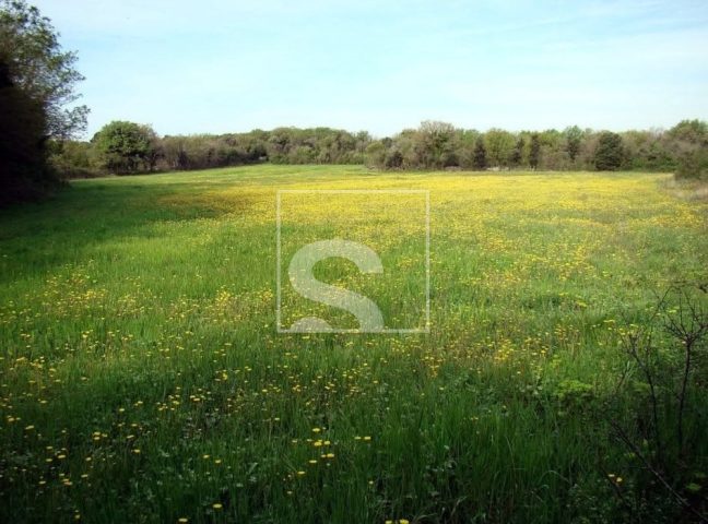 Terreno In vendita - Istarska Ližnjan - foto 2/6