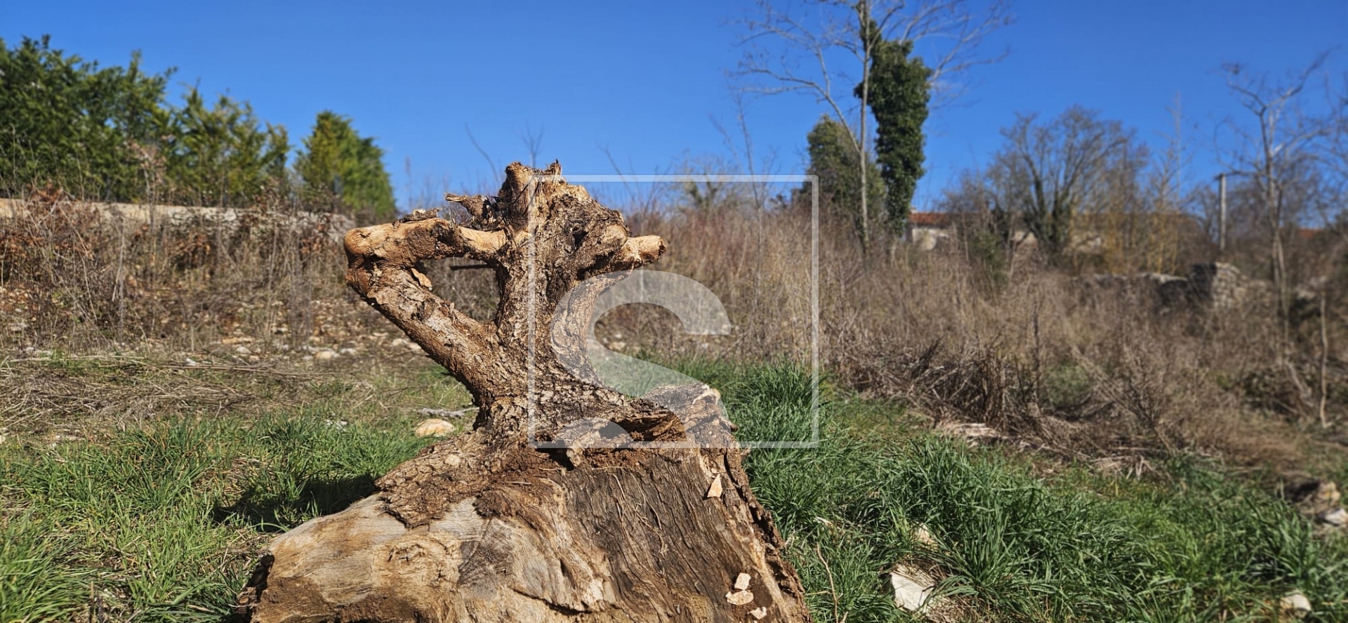 Parcela Naprodaj - Istarska Svetvinčenat