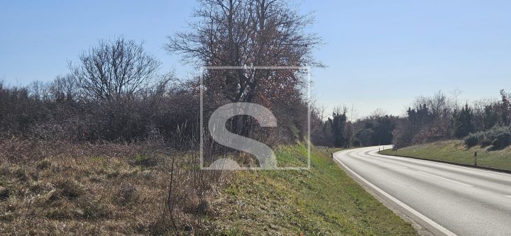 Land For sale - Istarska Svetvinčenat - foto 3/3